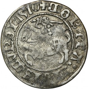 Sigismund I. der Alte, Półgrosz Wilno 1510