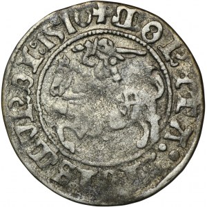 Sigismund I the Old, Halfgroat Vilnius 1510