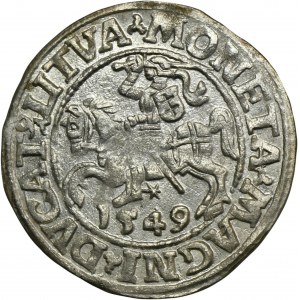 Sigismund II Augustus, halber Pfennig Vilnius 1549 - LI/LITVA