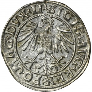 Sigismund II August, Halfgroat Vilnius 1549 - LI/LITVA
