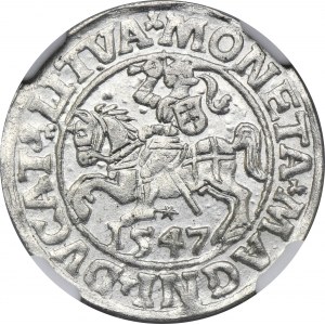 Zikmund II Augustus, půlpenny Vilnius 1547 - LI/LITVA - NGC MS62