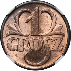 1 grosz 1937 - NGC MS66 RB