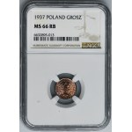 1 grosz 1937 - NGC MS66 RB