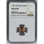 1 cent 1937 - NGC MS66 RB