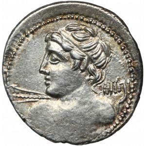 Republika Rzymska, Licinius Macer, Denar