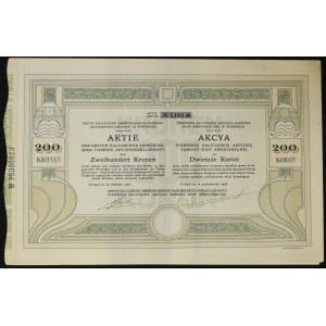 Pierwsza Galicyjska Akcyjna Fabryka Sody Amoniakalnej w Podgórzu, 100 koron 1906