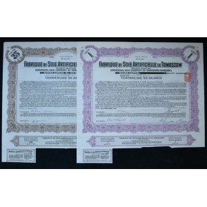 Tomaszowska Artificial Silk Factory, bearer certificate (2 pcs.))