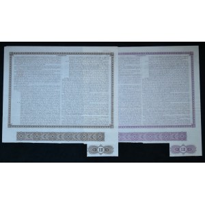 Tomaszowska Artificial Silk Factory, bearer certificate (2 pcs.))