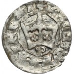 Ladislaus II Jagiello, 1/2 Groschen Krakau - RARE, letter P, star