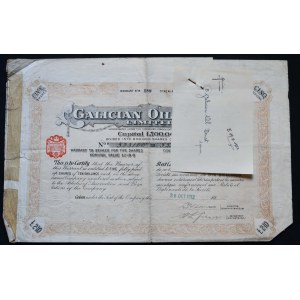 Galician Oil Trust Limited, warrant pour 5 actions, 1912