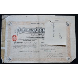 Galician Oil Trust Limited, warrant for 5 shares, 1912