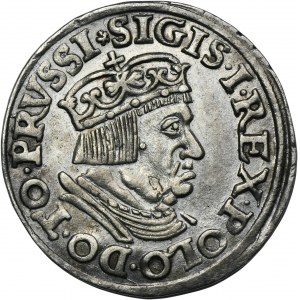 Zikmund I. Starý, Trojak Gdaňsk 1537