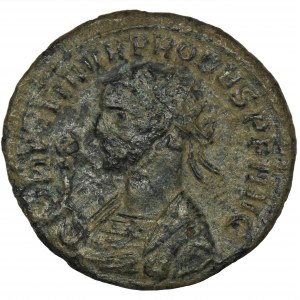 Roman Imperial, Probus, Antoninianus