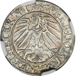 Schlesien, Herzogtum Legnicko-Brzesko-Wołowski, Friedrich II., Pfennig von Legnica 1545 - NGC AU58