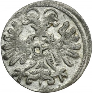 Sliezsko, vláda Habsburgovcov, Ferdinand II, Greszel Nysa 1624 - RARE, rozety