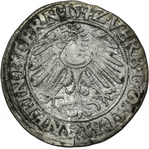 Sliezsko, Legnicko-Brzesko-Wołowo, Fridrich II, legnický groš 1542 - RARE