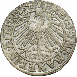 Sliezsko, Legnicko-Brzesko-Wołowo, Fridrich II, legnický groš 1544 - RARE