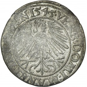Slezsko, Legnicko-Brzesko-Wołowo, Fridrich II., legnický groš 1545 - RARE