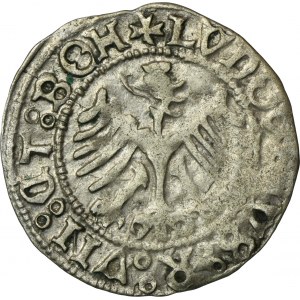 Schlesien, Stadt Świdnica, Ludwik II Jagiellończyk, Halber Pfennig 1520