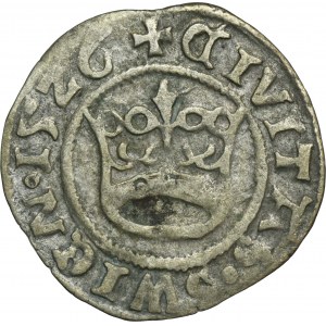 Schlesien, Stadt Świdnica, Ludwik II Jagiellończyk, Halber Pfennig 1526