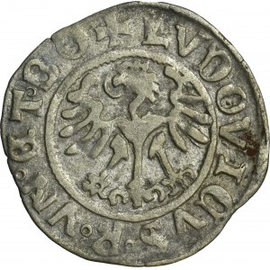 Schlesien, Stadt Świdnica, Ludwik II Jagiellończyk, Halber Pfennig 1526