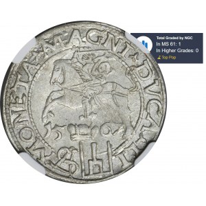 Sigismund II Augustus, litauischer Pfennig für den polnischen Fuß Tykocin 1567 - NGC MS61 - L/LI