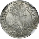 Sigismund II Augustus, litauischer Pfennig für den polnischen Fuß Tykocin 1567 - NGC MS61 - L/LI