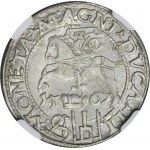 Sigismund II Augustus, litauischer Pfennig für den polnischen Fuß Tykocin 1567 - NGC MS61 - L/LI