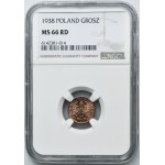 1 grosz 1938 - NGC MS66 RD