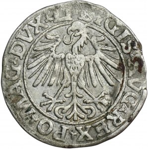 Sigismund II August, Halfgroat Vilnius 1548 - LI/LITVA