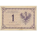 1 złoty 1919 - S.99 C -