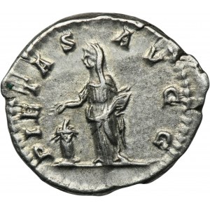 Römisches Reich, Julia Domna, Denarius