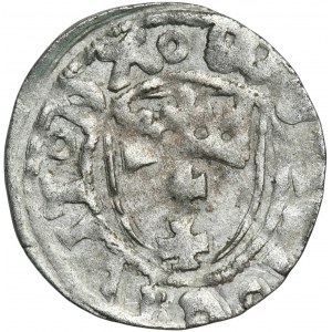 Kasimir IV. Jagiellonen, Szeląg Danzig kein Datum