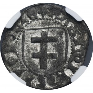 Kasimir IV. Jagiellone, Szeląg Toruń ohne Datum - NGC AU58 - RARE, FALSCH AUS DER ÄRA