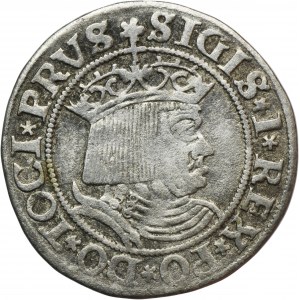 Žigmund I. Starý, Grosz Toruń 1530 - PRVS/PRVSS