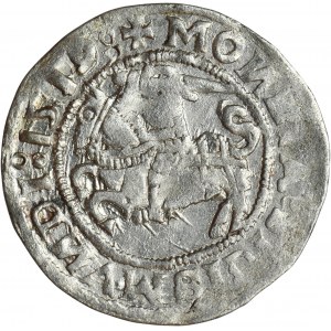 Sigismund I. der Alte, halber Pfennig Vilnius 1519 - UNBEKANNT