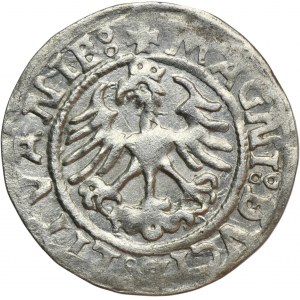 Sigismund I. der Alte, Halber Pfennig Vilnius 1523 - UNNOTED, Datumsfehler 5IZ3