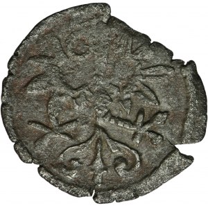 Zikmund III Vasa, denár Wschowa 1603