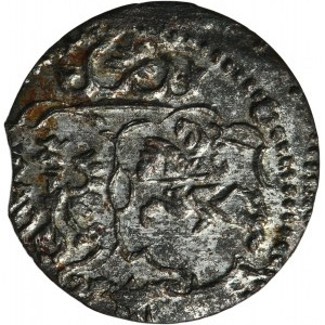 Sigismund III Vasa, Denarius Lobzenica 1623 - RARE