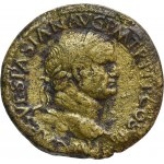 Das Römische Reich, Vespasian, Sesterz - eine jahrhundertealte Sammlung