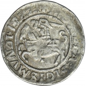Sigismund I. der Alte, Halber Pfennig Vilnius 1522 - RZADKI, 1522I