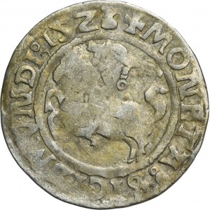 Sigismund I. der Alte, halber Pfennig Vilnius 1523 - SEHR RAR