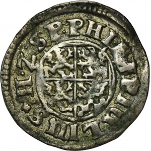 Západné Pomoransko, Valašské vojvodstvo, Filip Július II, Nowopole penny 1612 - ex. Dr. Max Blaschegg