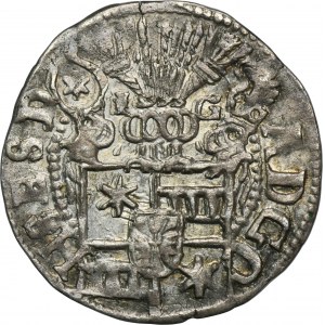 Nemecko, grófstvo Schaumburg-Holstein-Pinneberg, Adolf XIII, Penny 1601 IG - ex. Dr. Max Blaschegg