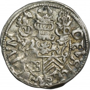 Nemecko, grófstvo Ravensberg, Jan Wilhelm I, Penny 1609 - ex. Dr. Max Blaschegg