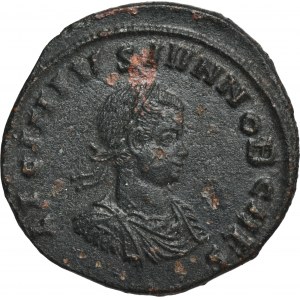 Roman Imperial, Licinius II, Follis