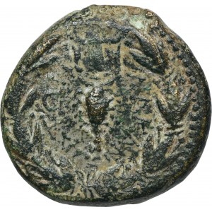 Provincia Rím, Kommagenské kráľovstvo, Kilicia, Lacanatis, Antiochus IV Epifanes, bronz - ROTHER