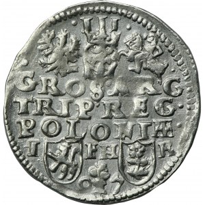Žigmund III Vaza, Trojak Poznaň 1597 - dátum oddelený kvetom