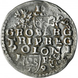 Žigmund III Vaza, Trojka Lublin 1596 - dátum prerušený levom