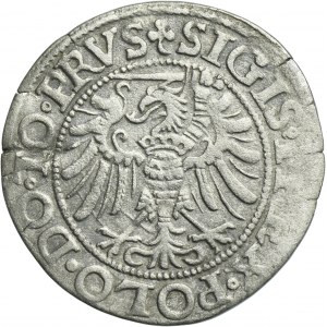 Zikmund I. Starý, groš Elbląg 1539 - PRVS, meč vlevo